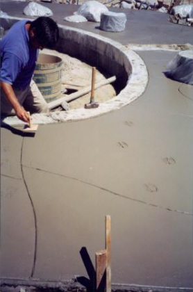 Fossil Imprints in Walkway 3